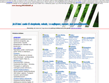 Tablet Screenshot of katalog.iprogramy.pl
